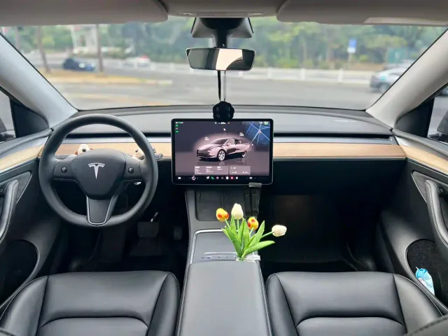 Tesla Model Y — Фото автомобиля 11