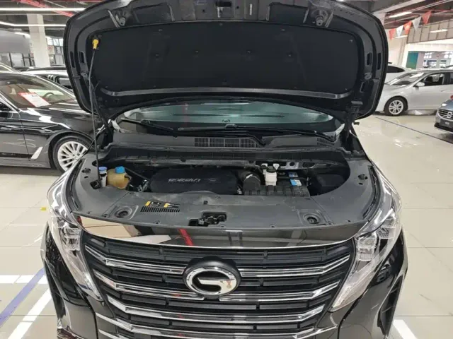 GAC Trumpchi M8 — Фото автомобиля 19