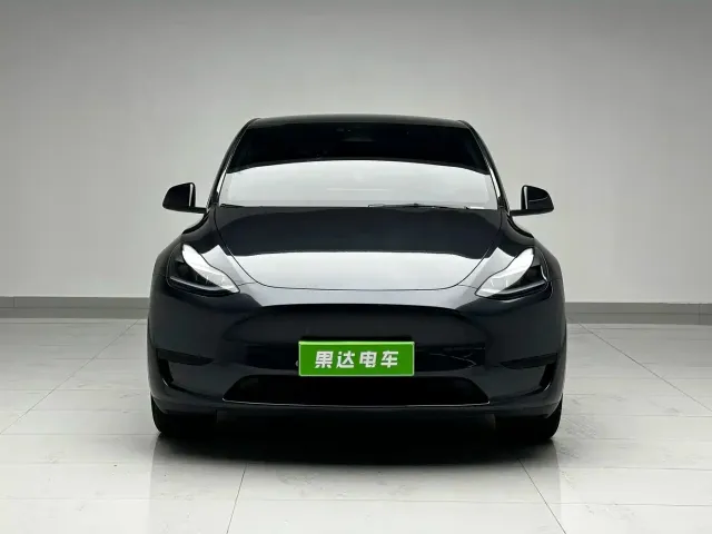 Tesla Model Y — Фото автомобиля 2