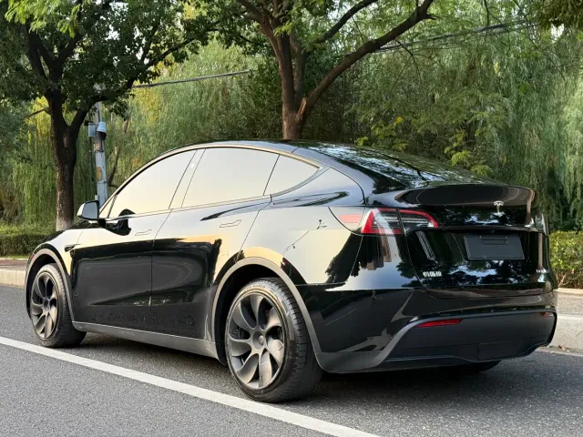 Tesla Model Y — Фото автомобиля 3