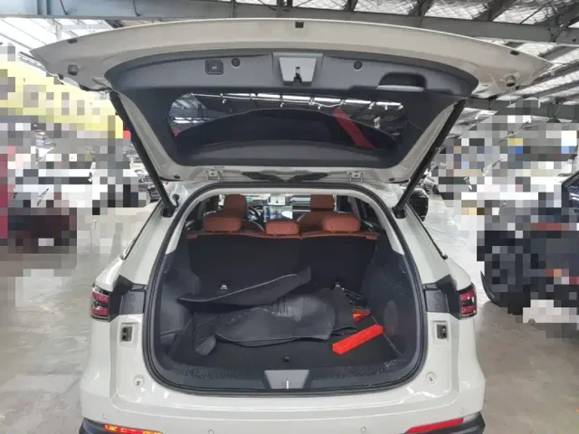 Haval Xiaolong MAX — Фото автомобиля 18
