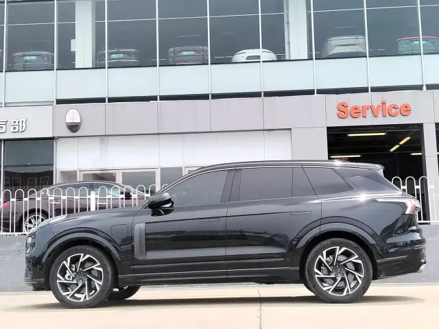 Lynk & Co Lynk & Co 09 EM-P 2021 2.0T PHEV Halo 6-seater — Фото автомобиля 10