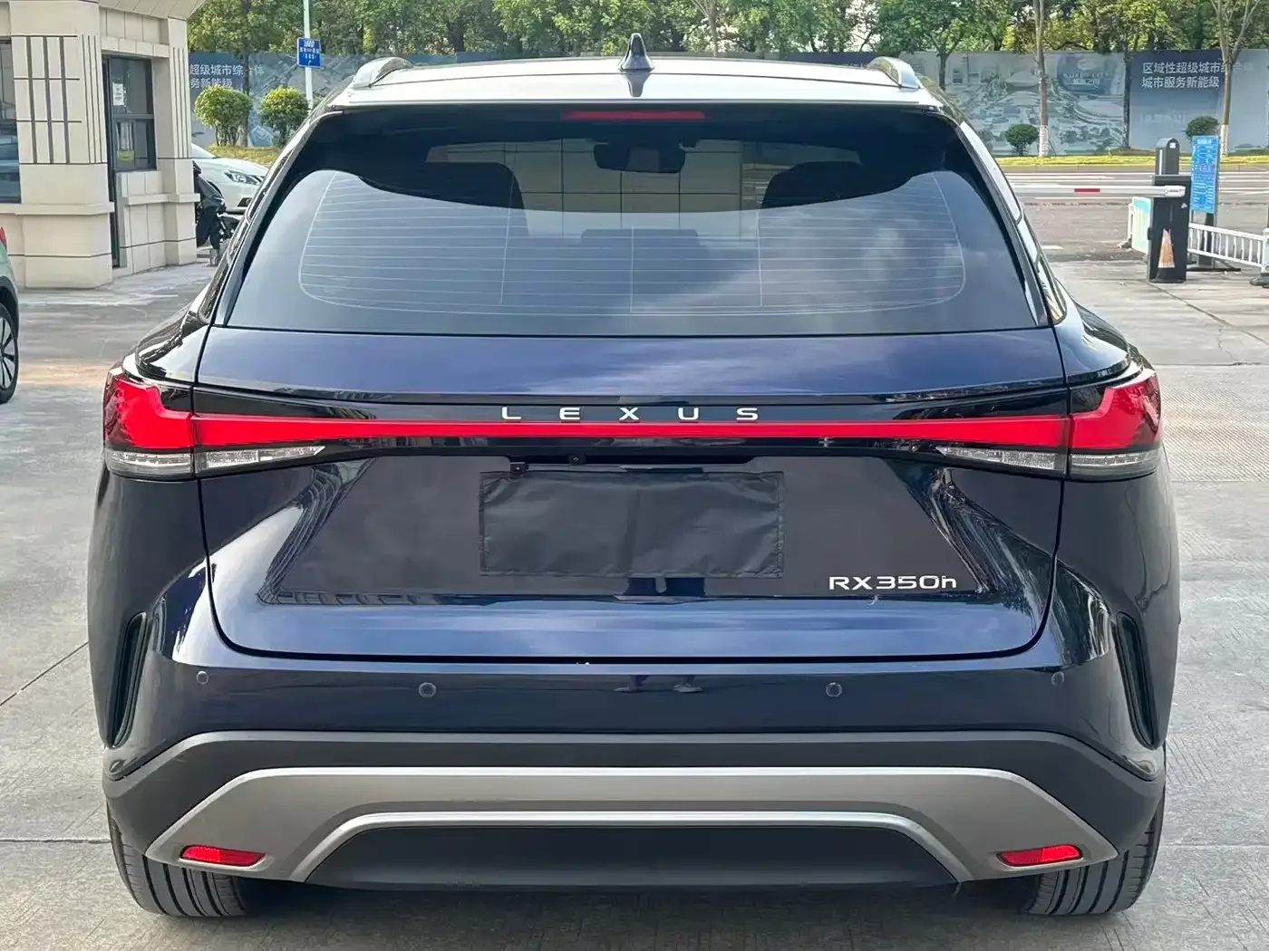 Lexus Lexus RX 2023 350h 2WD Comfort Edition — Фото автомобиля 8