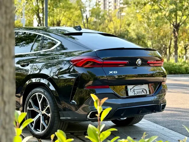 BMW X6 — Фото автомобиля 7