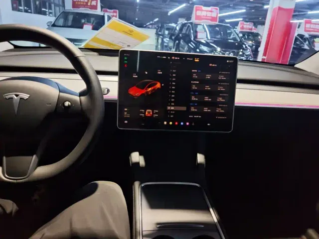 Tesla Model Y — Фото автомобиля 9