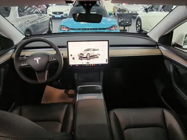 Tesla Model Y — Фото автомобиля 9