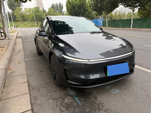 Tesla Model Y — Фото автомобиля 2