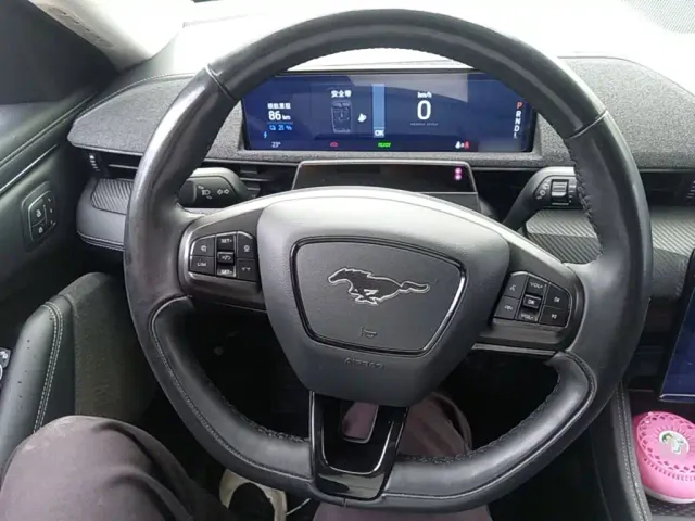 Ford Mustang Mach-E — Фото автомобиля 10