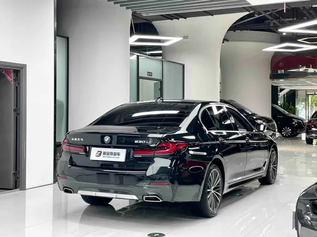 BMW 5 Series — Фото автомобиля 16