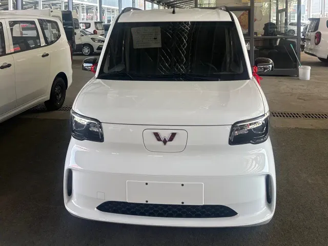 Wuling Zhiguang NEV — Фото автомобиля 2