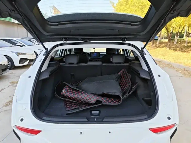 Buick Velite 6 — Фото автомобиля 18