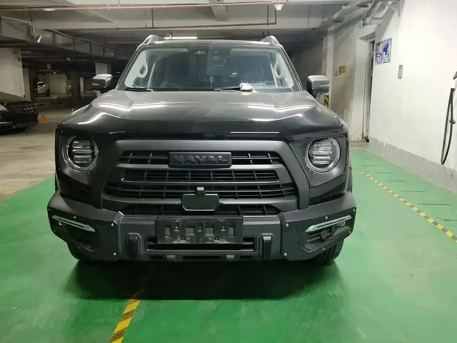 Haval Haval Big Dog 2024 2.0T DCT Chinese Rural Dog Edition — Фото автомобиля 2