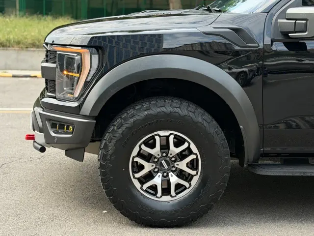 Ford F-150 Raptor — Фото автомобиля 6