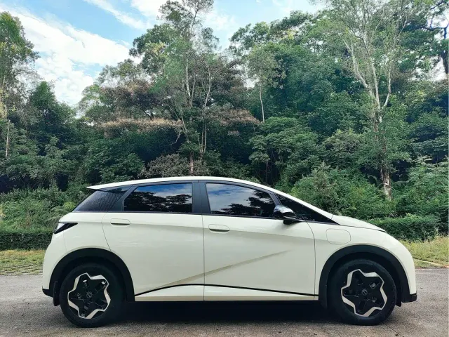 BYD Dolphin — Фото автомобиля 6