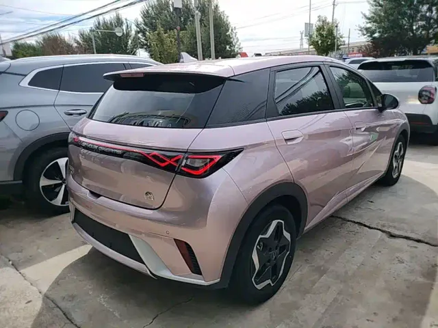 BYD Dolphin — Фото автомобиля 6