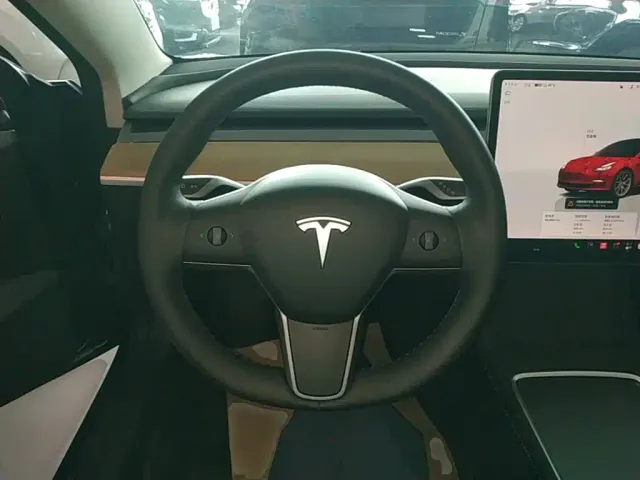 Tesla Model 3 — Фото автомобиля 10