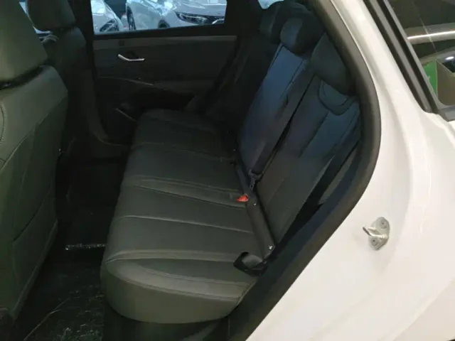 BYD Qin PLUS — Фото автомобиля 16
