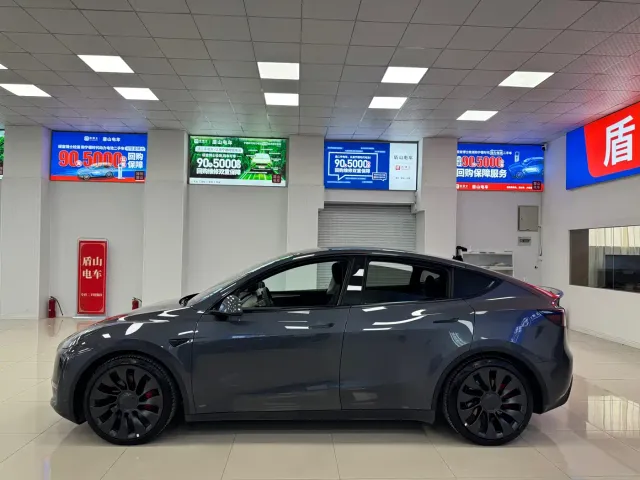 Tesla Model Y — Фото автомобиля 3
