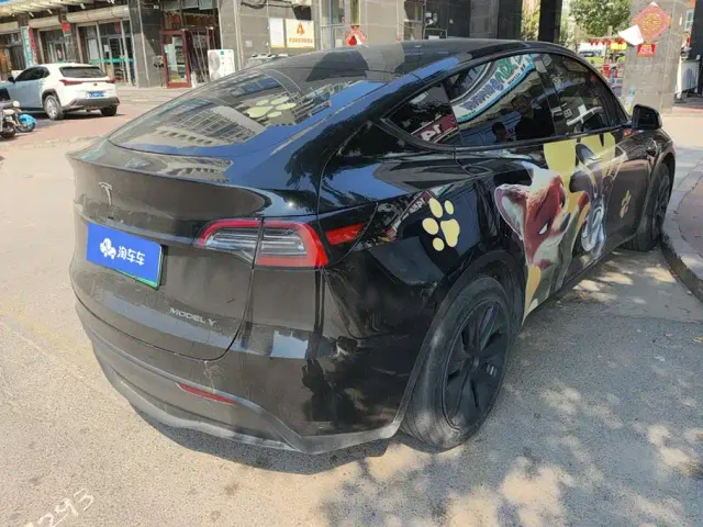 Tesla Model Y — Фото автомобиля 3