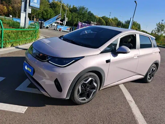 Фотография автомобиля — BYD Dolphin