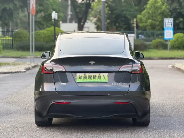 Tesla Model Y — Фото автомобиля 19