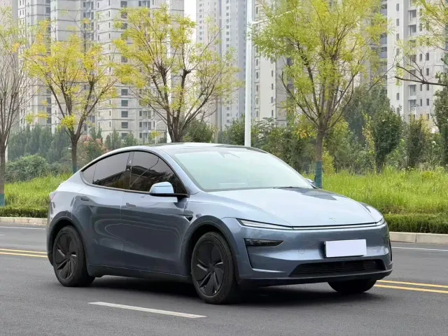 Tesla Model Y — Фото автомобиля 3