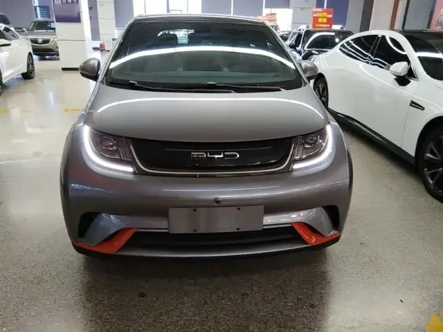 BYD Dolphin — Фото автомобиля 2