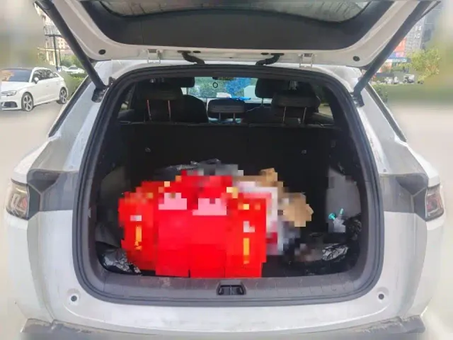 BYD Song L DM-i — Фото автомобиля 15