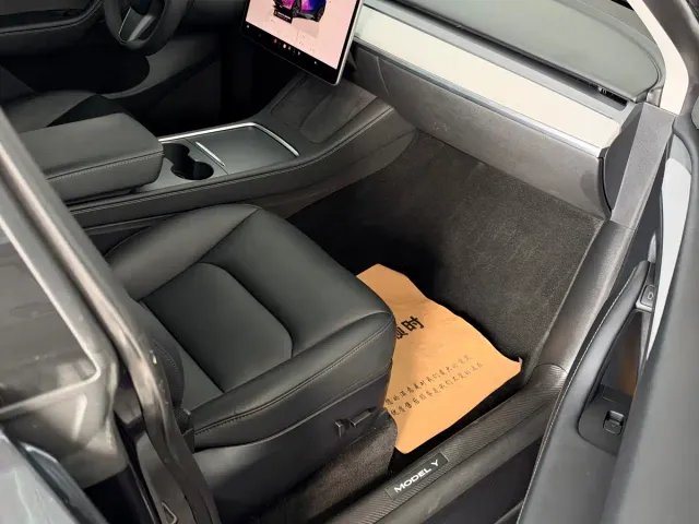 Tesla Model Y — Фото автомобиля 10