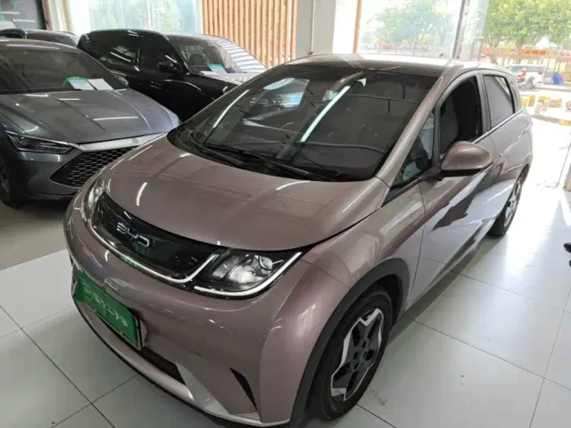 Фотография автомобиля — BYD Dolphin