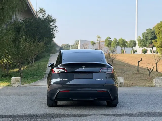 Tesla Model Y — Фото автомобиля 18
