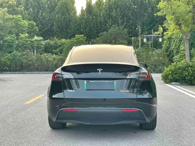 Tesla Model Y — Фото автомобиля 5