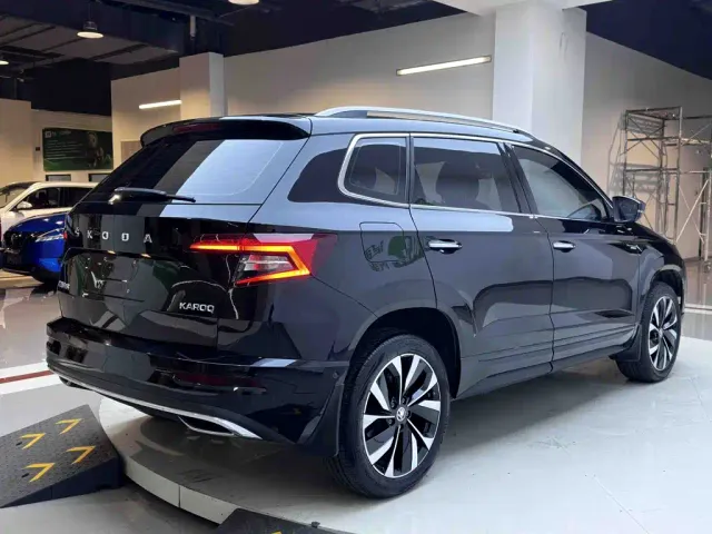 Skoda Karoq — Фото автомобиля 6