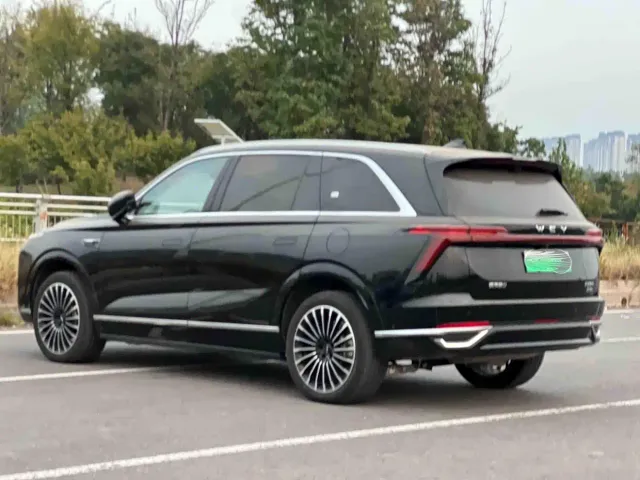 Wey Lanshan — Фото автомобиля 8