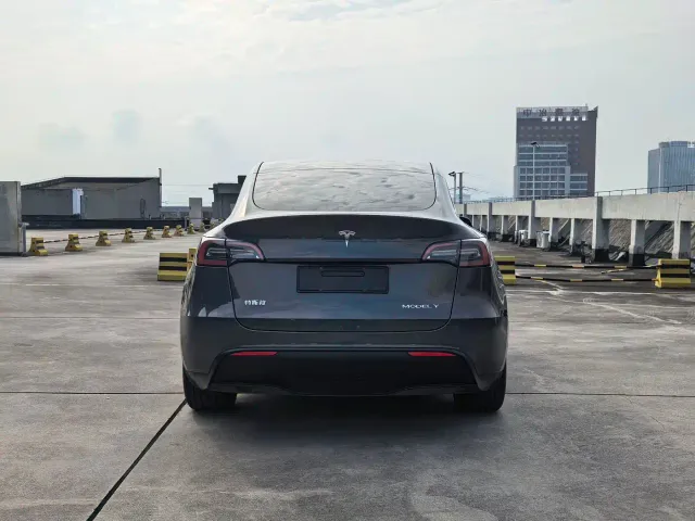 Tesla Model Y — Фото автомобиля 8