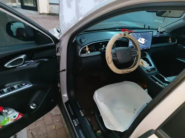 Geely Starry Wish — Фото автомобиля 12