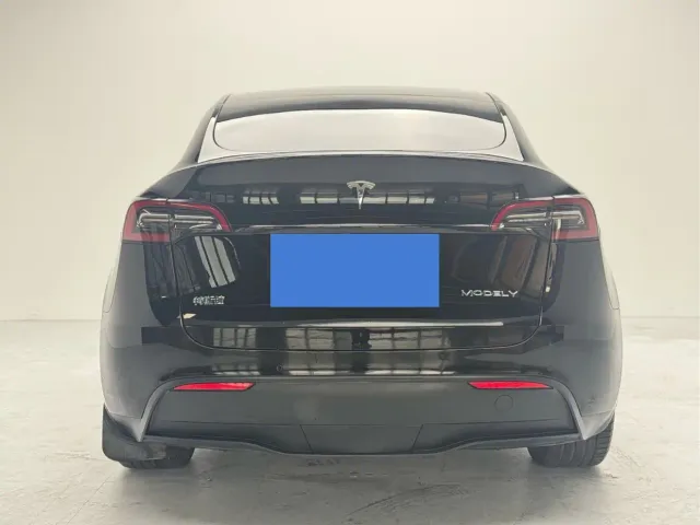 Tesla Model Y — Фото автомобиля 8