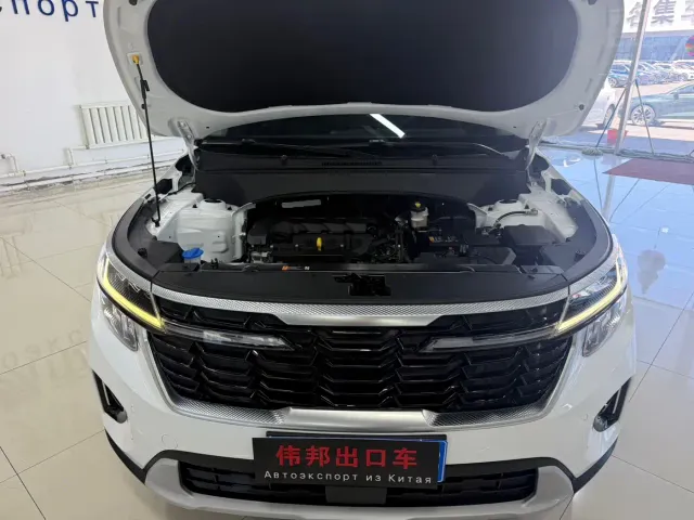 Kia Seltos — Фото автомобиля 21