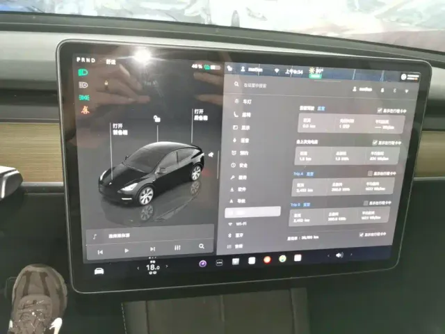 Tesla Model Y — Фото автомобиля 12