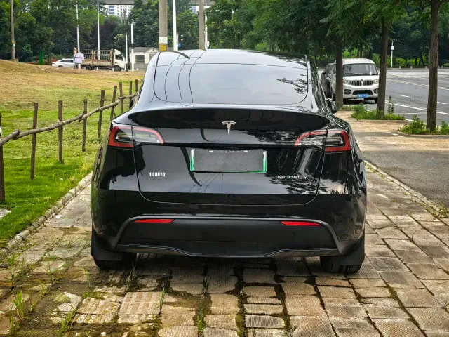 Tesla Model Y — Фото автомобиля 2