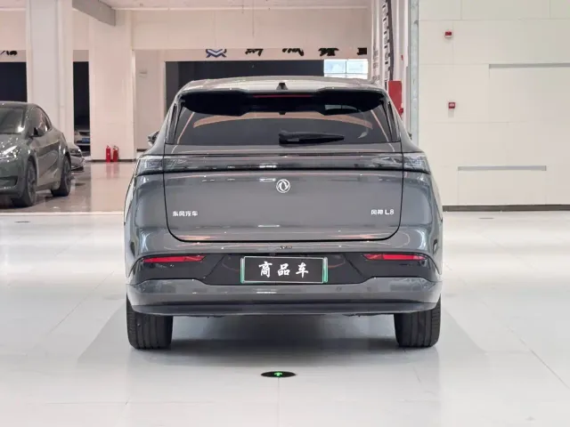 Dongfeng Aeolus L8 — Фото автомобиля 8