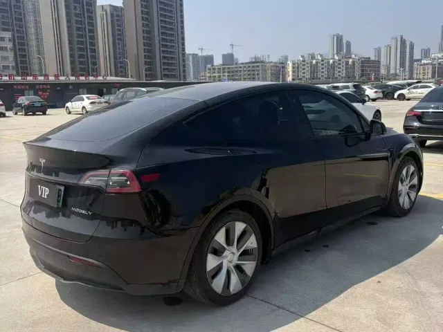Tesla Model Y — Фото автомобиля 9