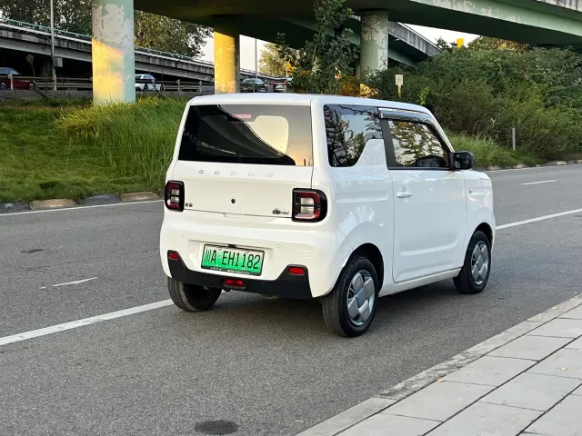 Geely Panda — Фото автомобиля 22