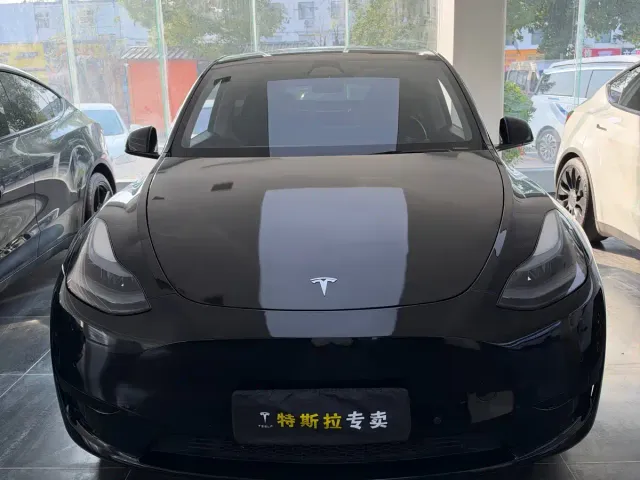 Tesla Model Y — Фото автомобиля 2