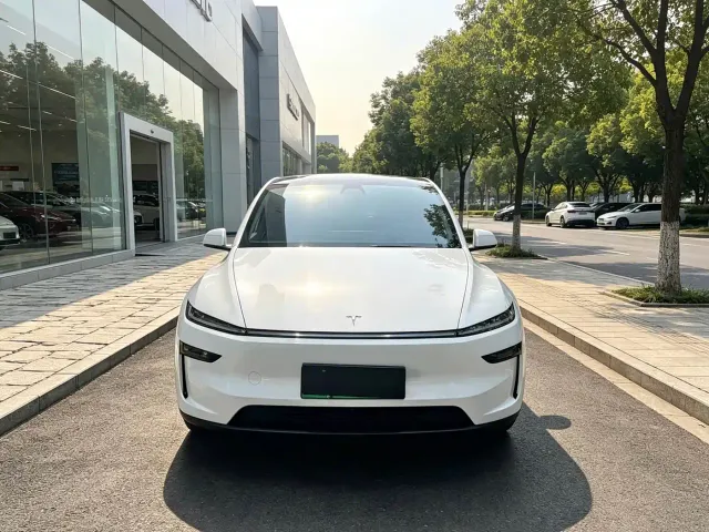 Tesla Model Y — Фото автомобиля 2