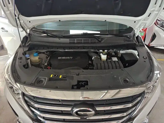 GAC Trumpchi M8 — Фото автомобиля 19