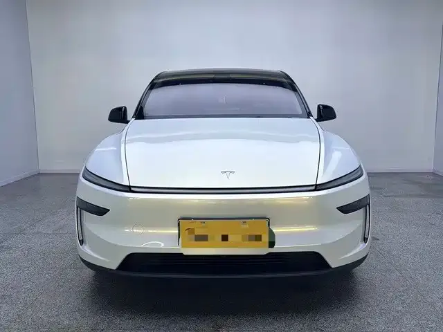 Tesla Model Y — Фото автомобиля 2