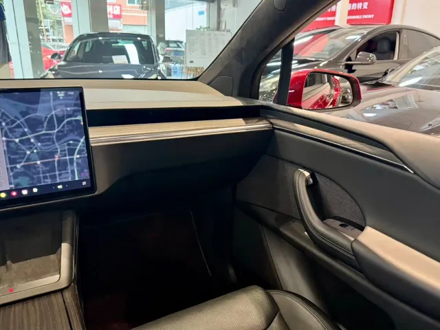 Tesla Model X — Фото автомобиля 12
