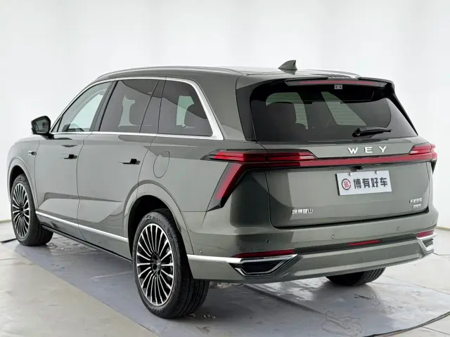Wey Lanshan — Фото автомобиля 16