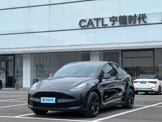 Tesla Model Y — Фото автомобиля 2